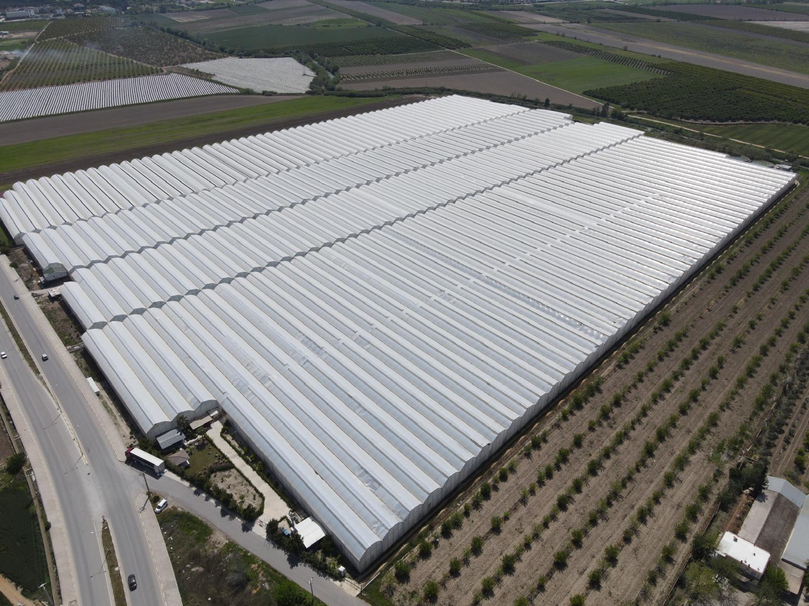 Antalya Serik Muz Serası Tesislerimiz